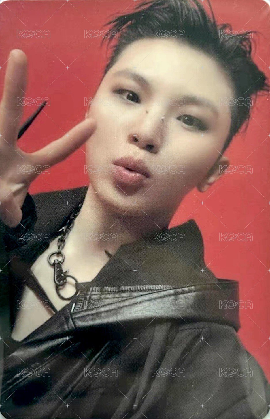 正五 oy 特典卡  正面