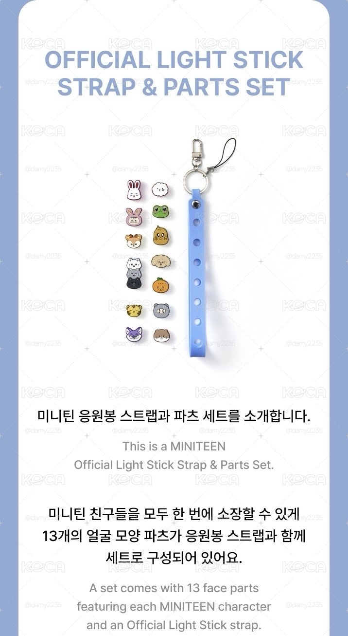 Official Light Stick Strap & Parts Set