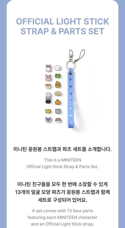 Official Light Stick Strap & Parts Set