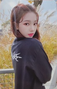 Savage 專輯卡 美網盒子 蘆葦柚