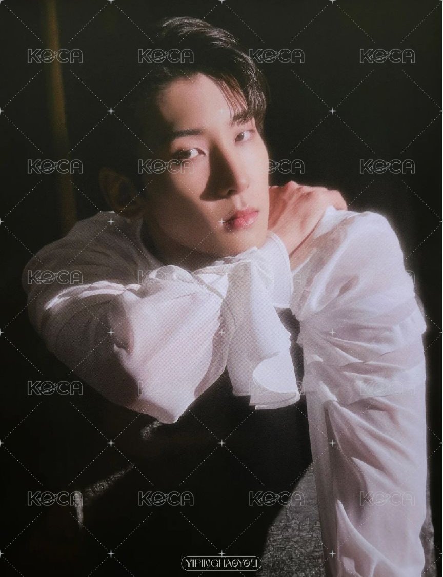 SOCIAL CLUB 明信片 檔案卡 背面