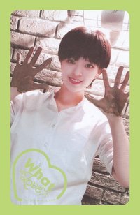 What is Love? 專輯卡 