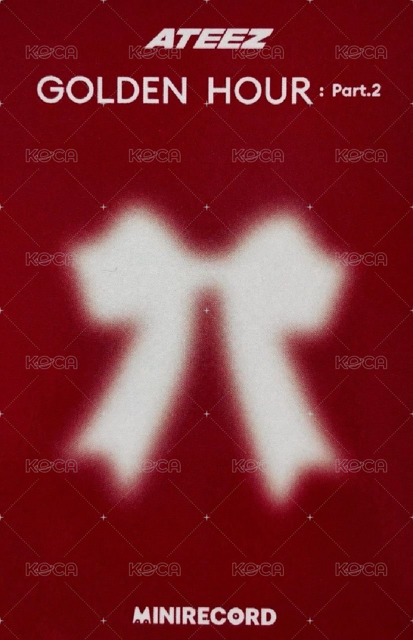 GH2 MINIRECORD 3.0 Unit 幸運卡  背面