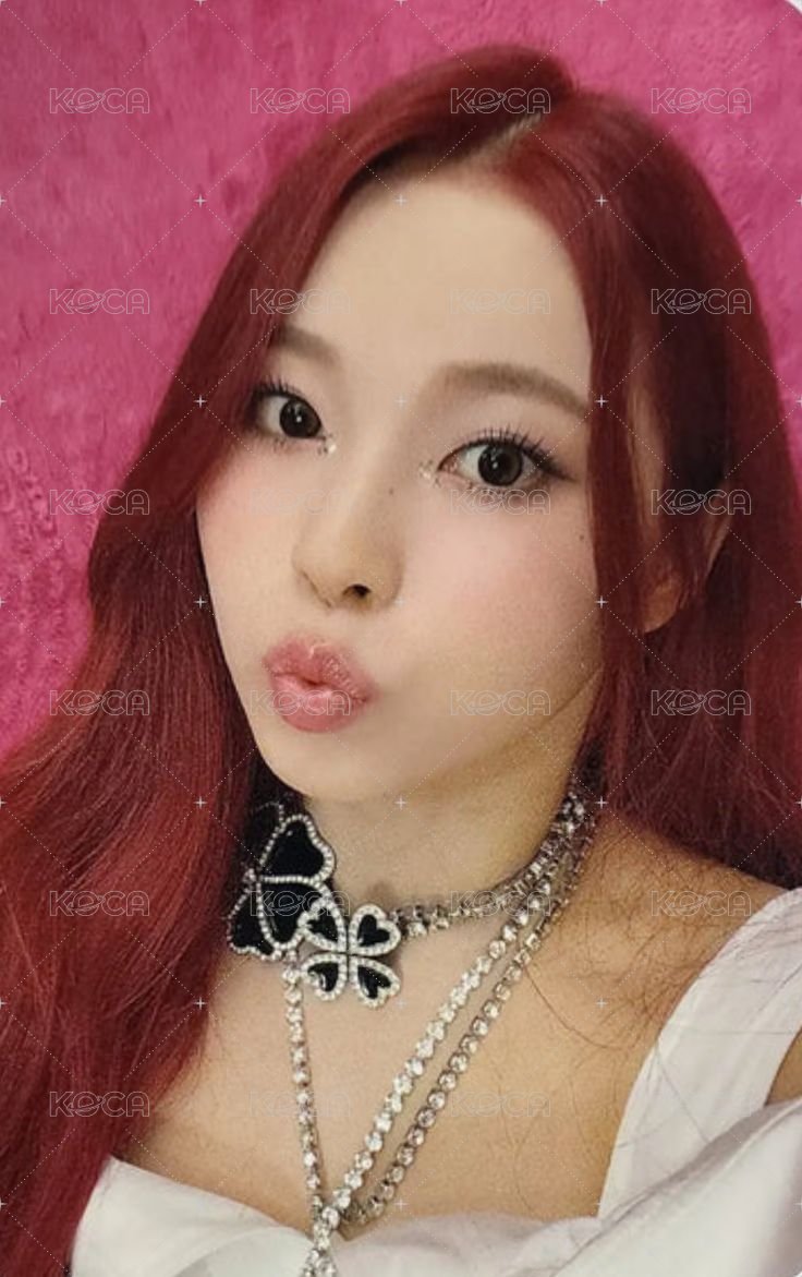 ENTWURF mk 特典卡  正面