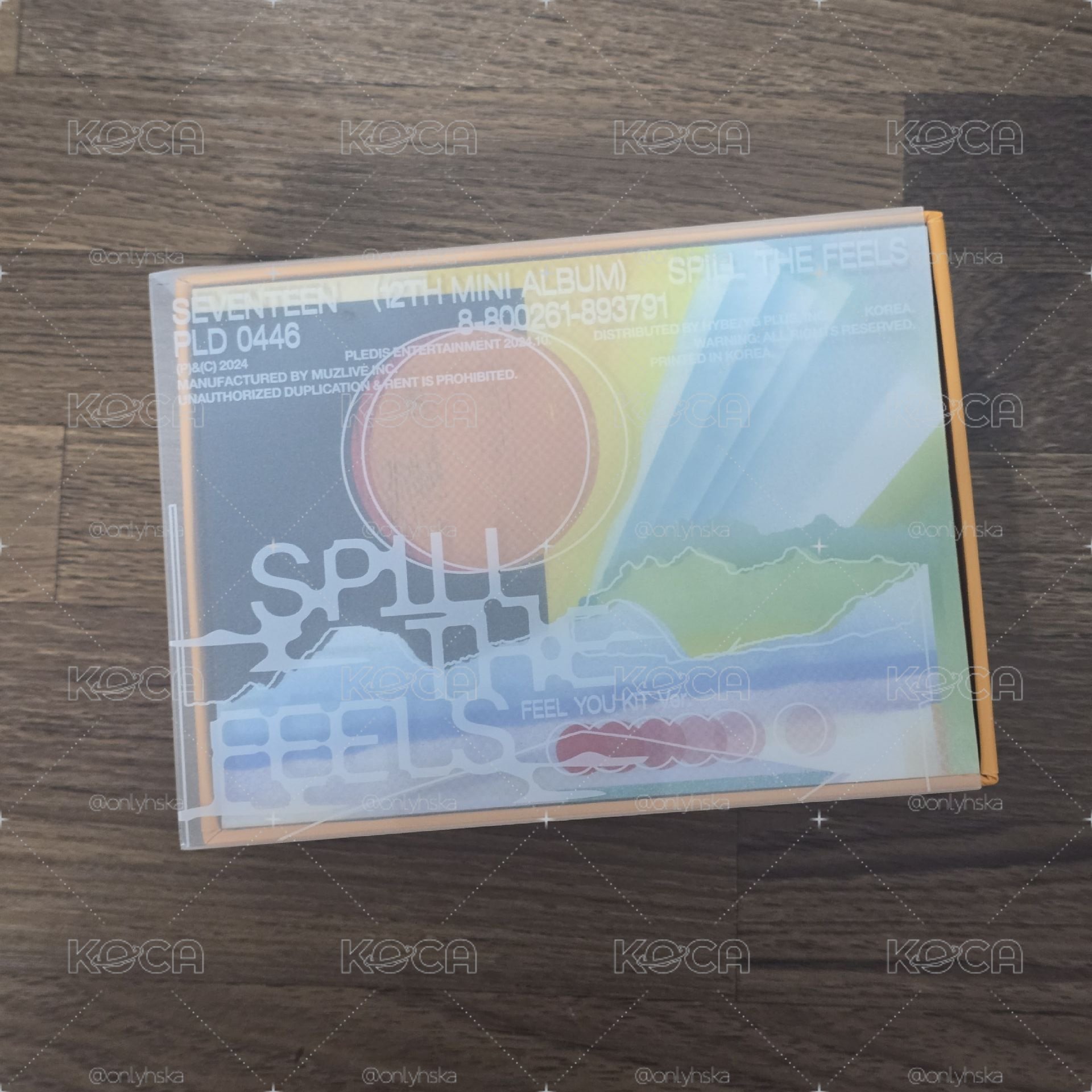 SEVENTEEN 迷12 KIT空專