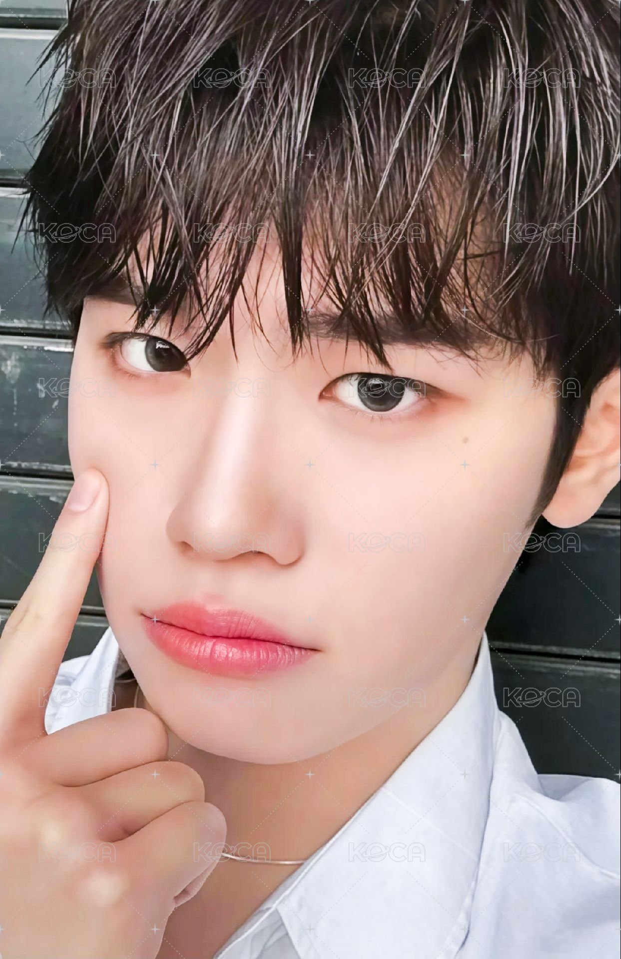 迷三 專輯卡 SUNSHOWER ver. 正面