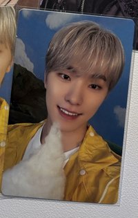 燦 wvs克拉盤特典 