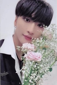 Movement ms 3.0 特典卡 