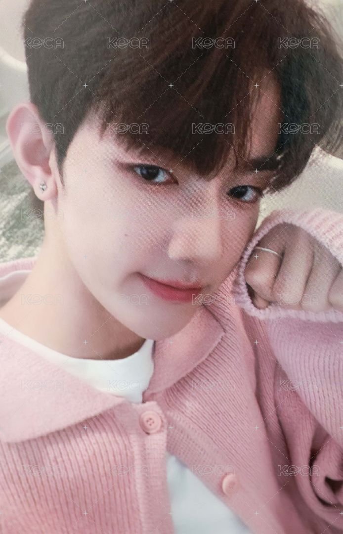 迷一 el 特典卡 ZB1 1.0 拳頭 正面