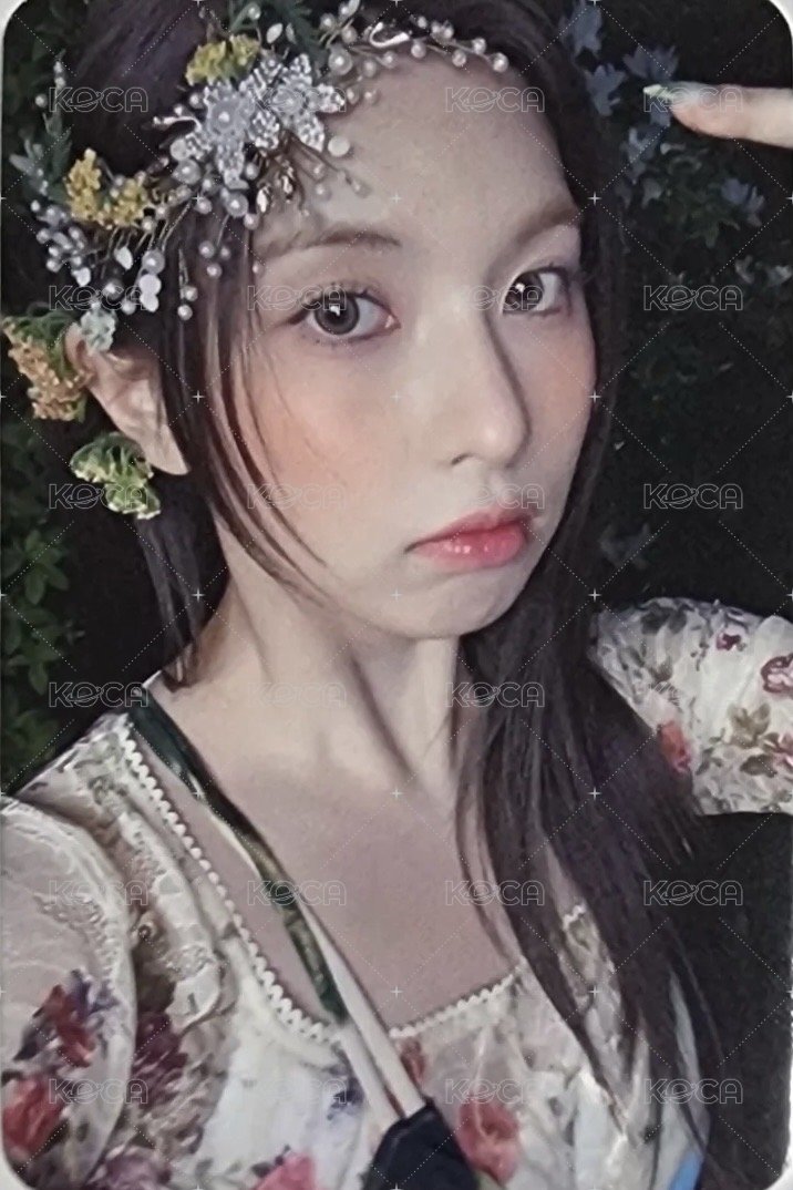 仲夏夜 阿拉丁 預售 特典卡  正面