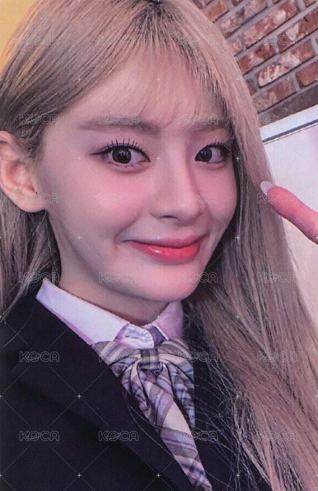 Teddy Bear wm 特典卡  正面