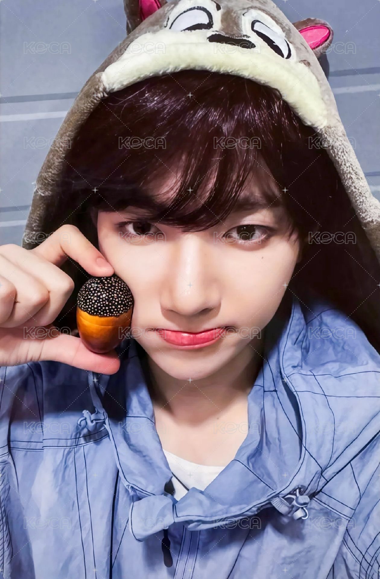 迷二 ms 幸運卡 松果 ver. 正面