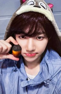 迷二 ms 幸運卡 松果 ver.