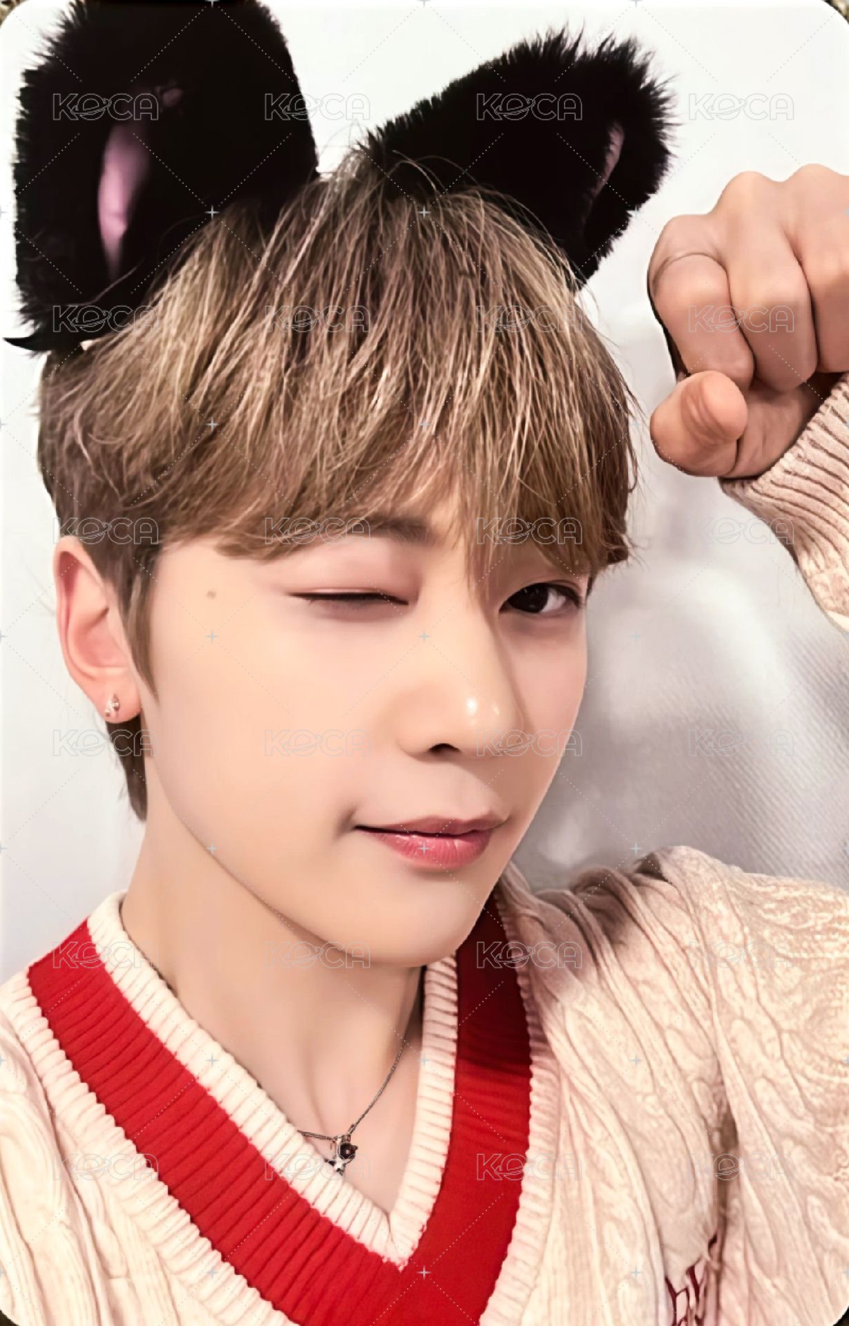 迷一 ms 1.0 特典卡 貓耳 ver. 正面