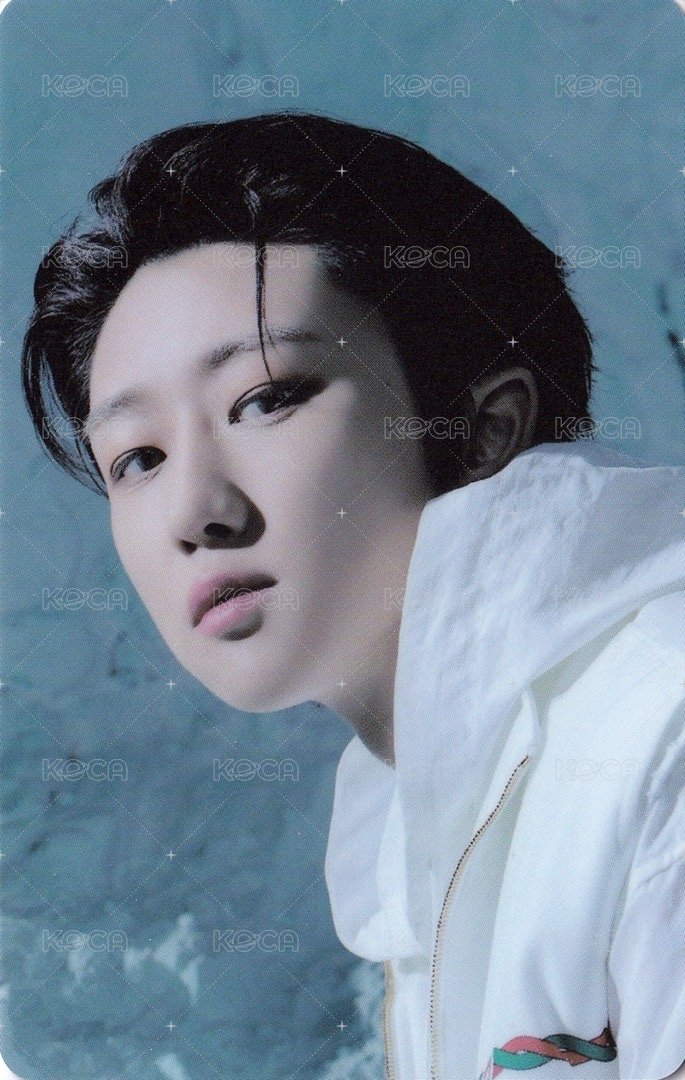 正四後續 專輯卡 正規四後續｜WVS電子專ver. 正面