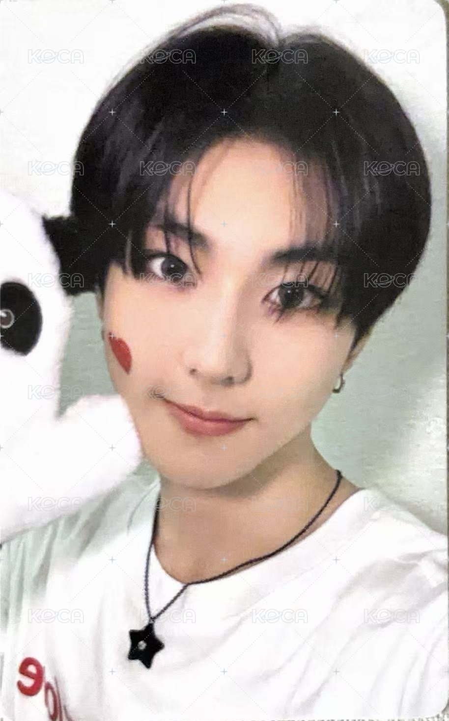 正二 yzy 3.0 特典卡 預售 熊貓卡 正面