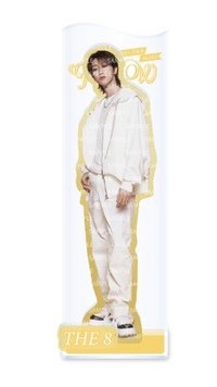 Follow Again 日巡 立牌 