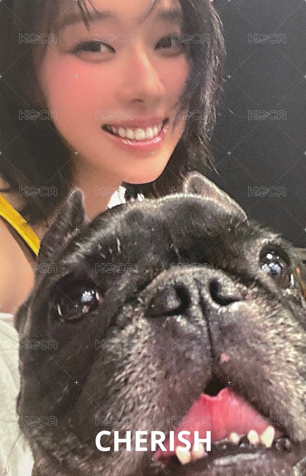 Rich Man k4 預售 特典卡  正面