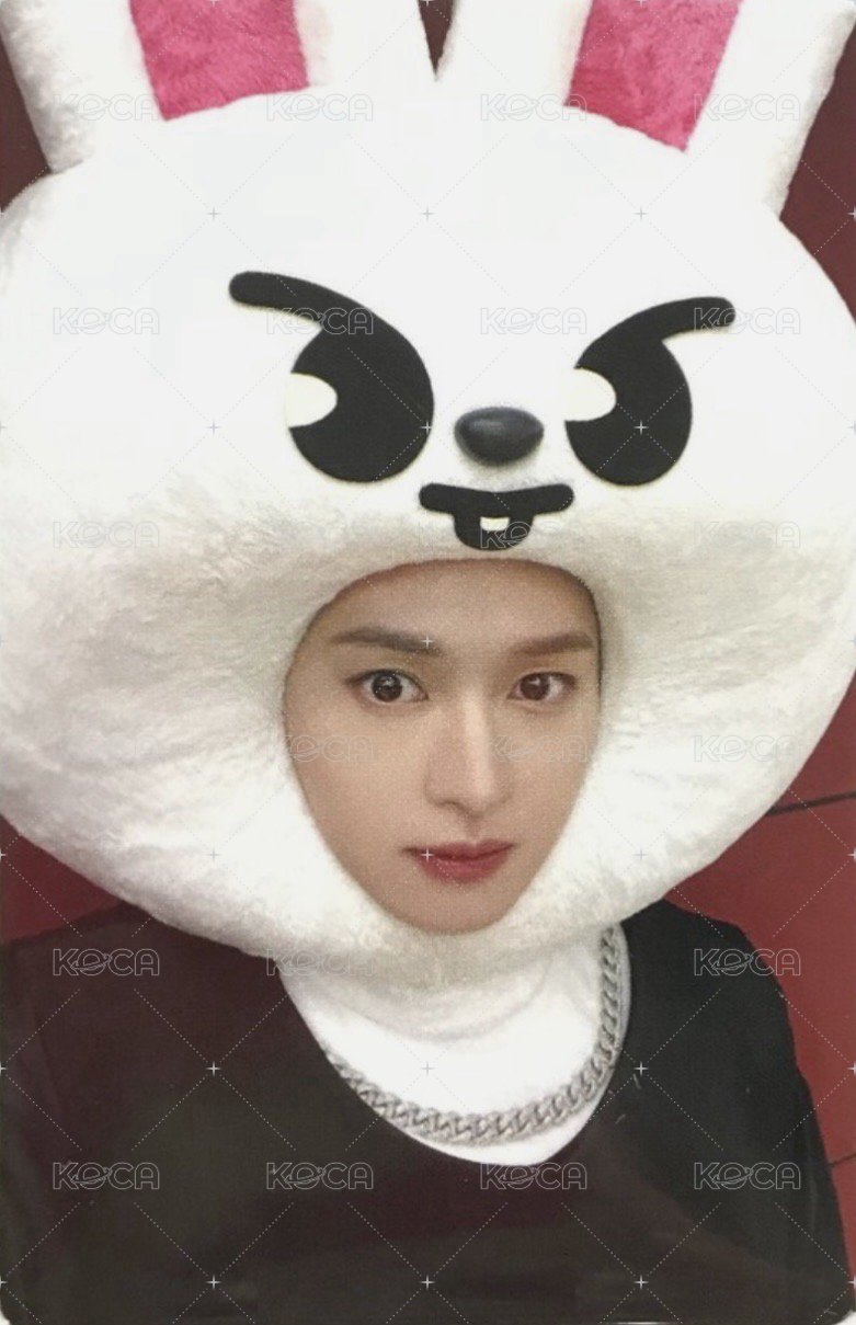 MAXIDENT jyp 特典卡  正面