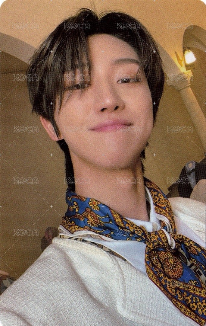 正四 專輯卡 正規四｜WVS電子專ver. 正面