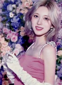 23’FC 隨機卡 日本場限