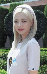 2024年曆 周邊卡 卡盒