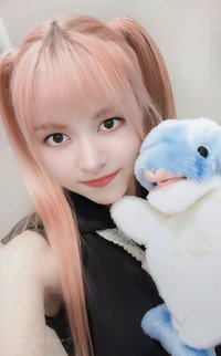 expérgo ms 幸運卡 海豚