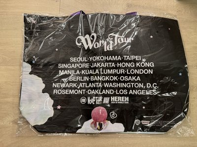 IU 李知恩 崔弟 環保袋（全新未拆封）