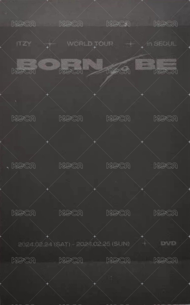 BTB 世巡 演唱會 DVD / CD 卡 DVD 拍立得 背面