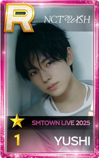 2025 SMT30 遊戲卡 