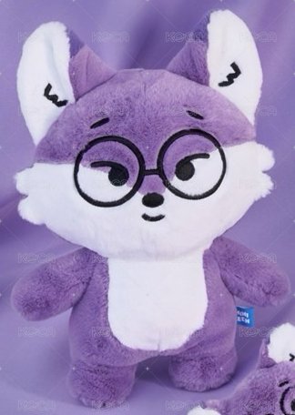 MINITEEN｜FOXDUNGEE