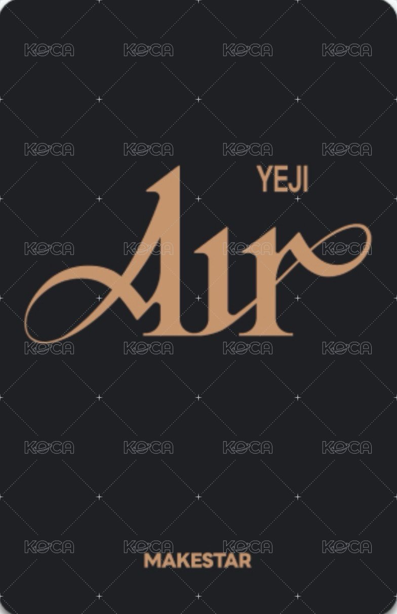 AIR ms 1.0 簽售卡 豹 背面