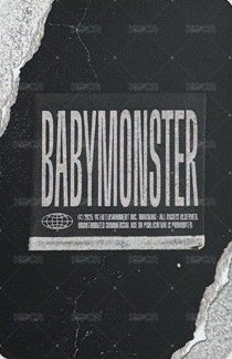 一期會員禮 wvs 抽選卡 官拍 背面