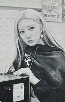 一期會員禮 wvs 會員開箱 抽選卡  正面