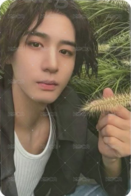 The Action wvs sc A版 直播卡  正面