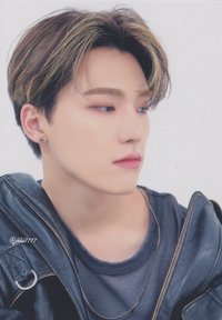 21‘FM HARE 隨機卡 