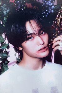 DtC 船特 特典卡 0/?/! 官拍 ver.