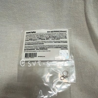 全新未拆 高雄快閃店購入 miniteen 鑰匙圈吊飾 李知勳 豌豆