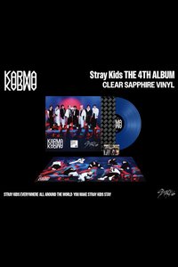 KARMA 黑膠唱片 藍版