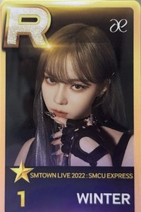 Girls 遊戲卡 2022家族演唱會 R卡冬