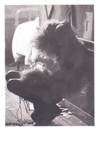 R 專輯卡 蹲下肉