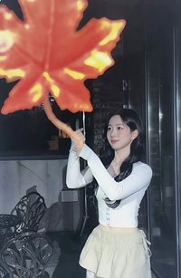 STICK OUT mmt 4.0 簽售卡 楓葉