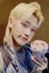 Movement ms 4.0 抽選卡 