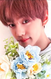 迷四 mp 特典卡 拿花 ver.