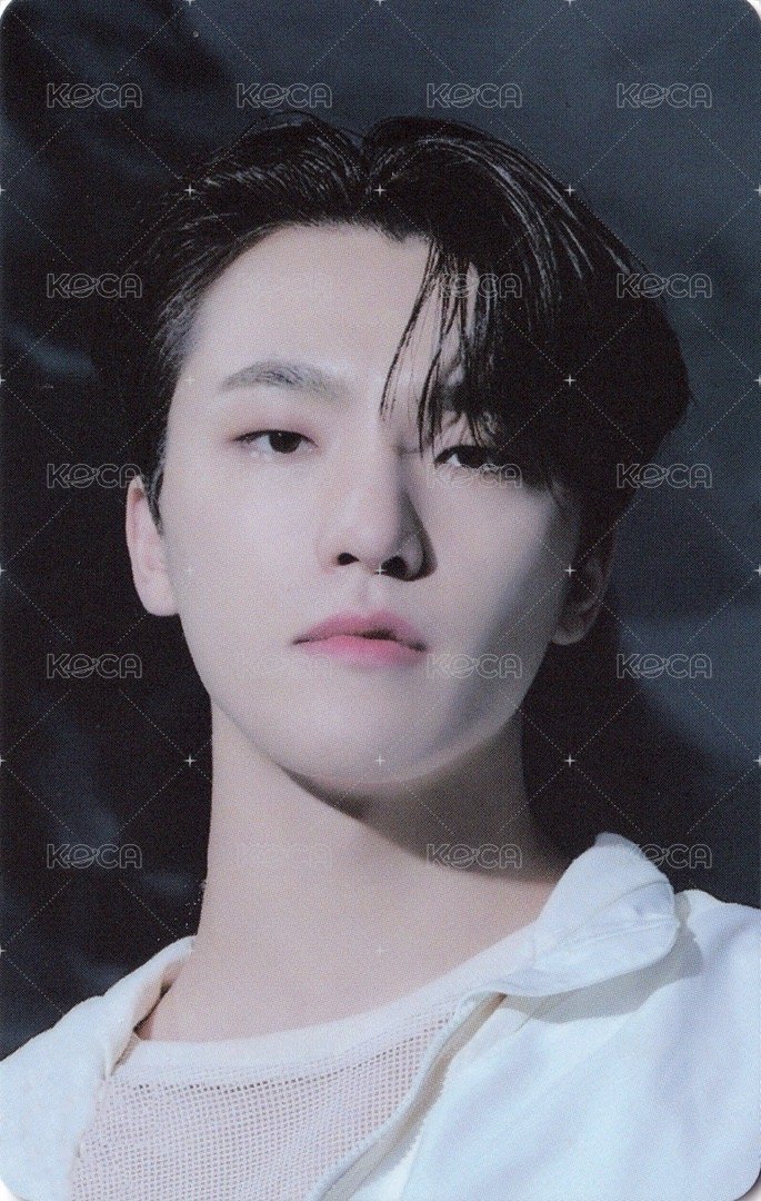 正四後續 專輯卡 正規四後續｜WVS電子專ver. 正面