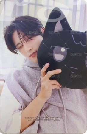 ANITEEZ IN ICE CITY 周邊卡 plush cushion 背面