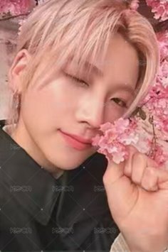 雪明かり (yukiakari) 專輯卡 通常專卡 正面