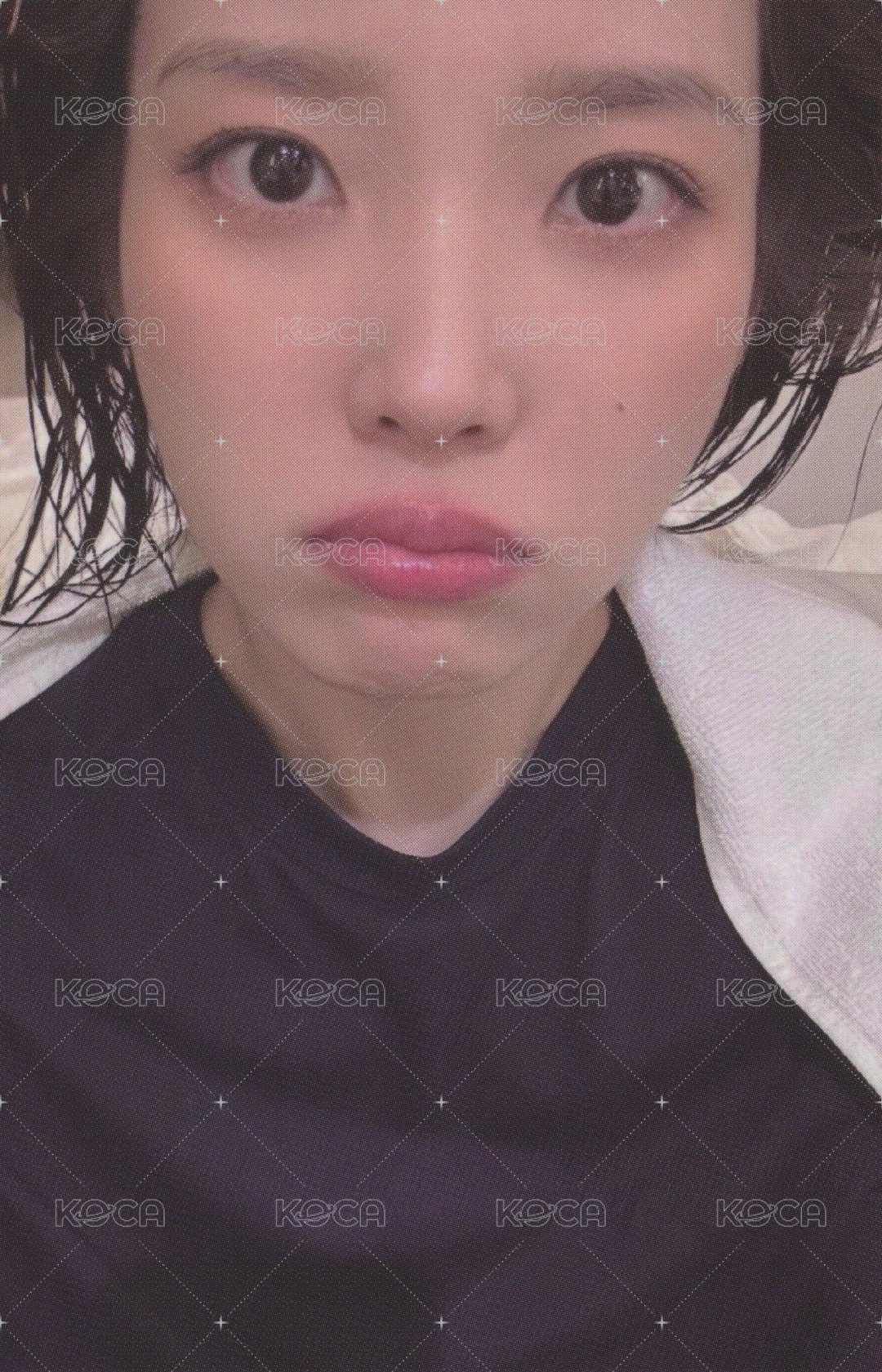 24’ 安可演唱會 周邊卡 鐵盒卡 正面