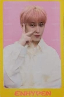 22年D社 雜誌卡 卡冊卡 正面