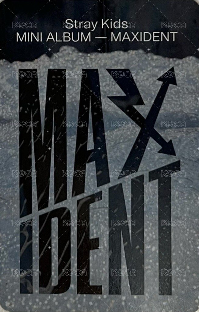 MAXIDENT target 特典卡  背面